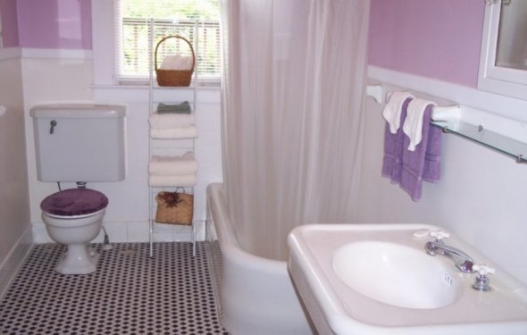 Purple Soft Colored Wall Home