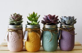 4 Tips to Decorate Your Dorm place regarding the inexpensive — Do-it-yourself mason container planters