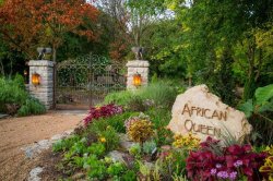 african decor in residence easily obtainable in Springfield MO