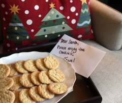 xmas designing Tips: Christmas time Throw Pillow, Cookies for Santa