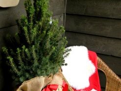 front-porch xmas Decorating Ideas: Festive and Comfortable