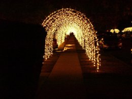 Reseda-Tunnel-of-Lights