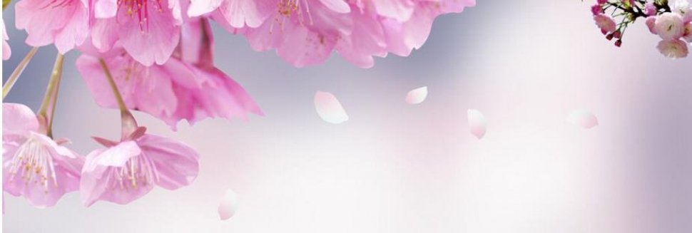 Home Decor Wall Murals