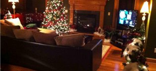 Christmas Decorating Ideas for the Home