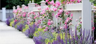 Floral Home Decor