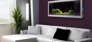 Home Interior wall Design ideas