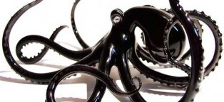 Octopus Home Decor